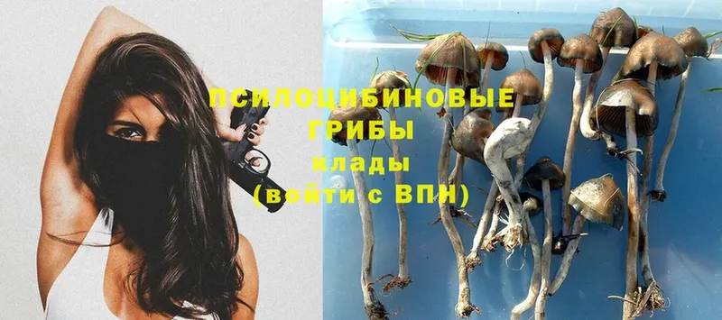 Псилоцибиновые грибы MAGIC MUSHROOMS  Александровск 